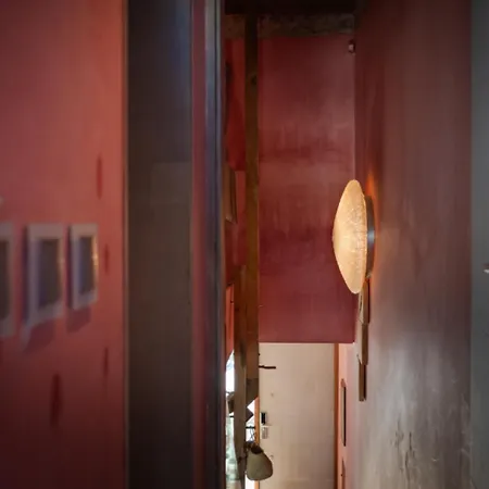 Pink House Santa Cruz