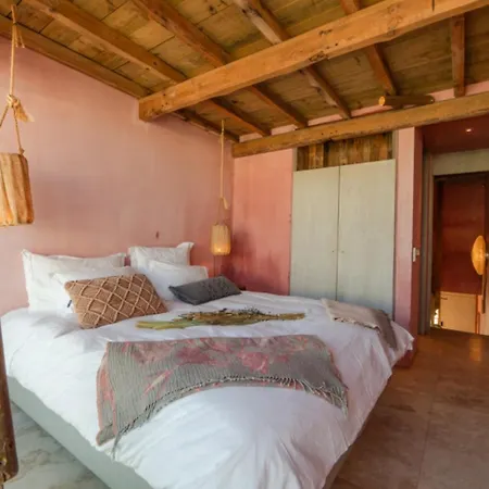 Pink House Santa Cruz *