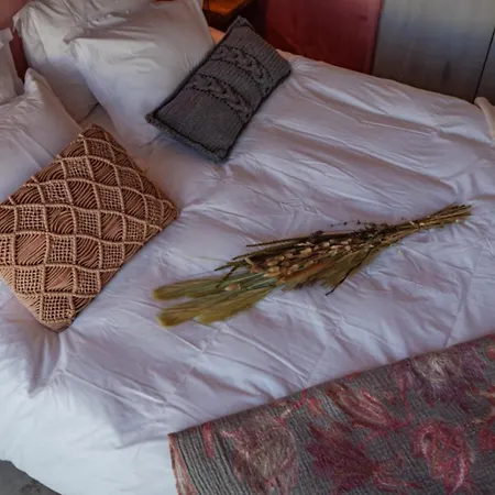 Pink House Santa Cruz *