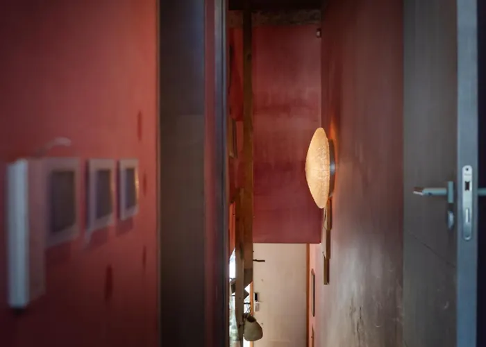 Pink House Santa Cruz