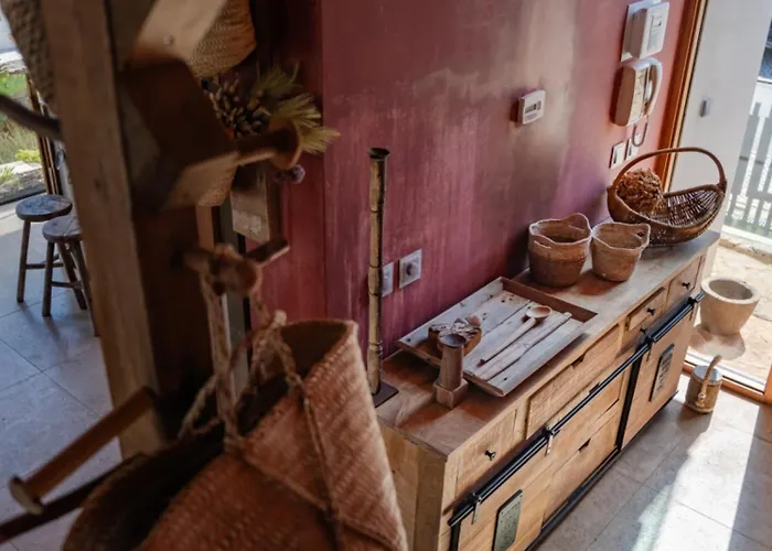 Pink House Santa Cruz