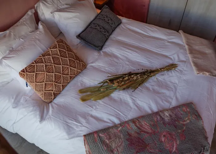 Pink House Santa Cruz *